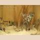 Cultures & Sculptures