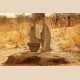 Cultures & Sculptures