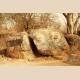 Cultures & Sculptures