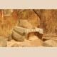 Cultures & Sculptures