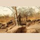 Cultures & Sculptures